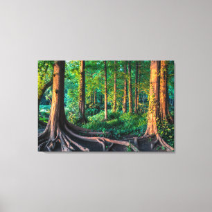 Forests Greenery & Woodland Canvas Print