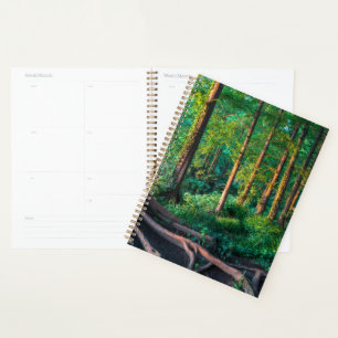 Forests   Greenery & Woodland Planner