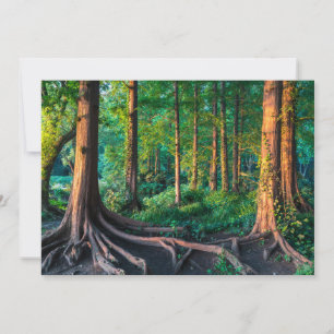 Forests Greenery & Woodland Thank You Card
