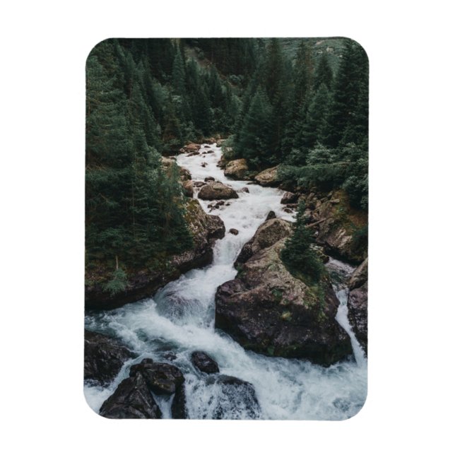 Forests | Grison Graubunden Canton Magnet (Vertical)