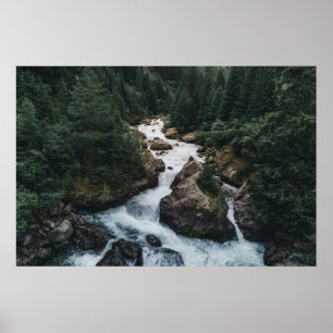 Forests   Grison Graubunden Canton Poster