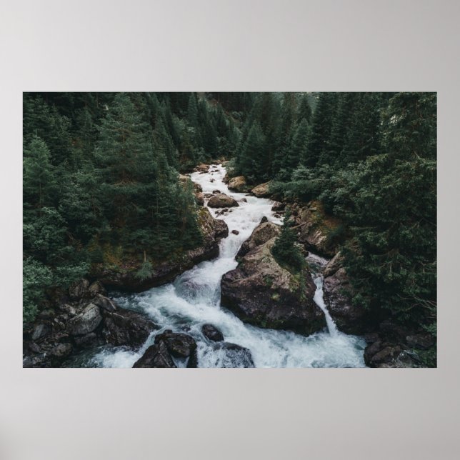 Forests | Grison Graubunden Canton Poster (Front)