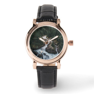 Forests Grison Graubunden Canton Watch