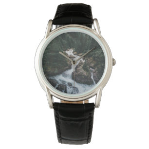 Forests Grison Graubunden Canton Watch
