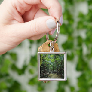 Forests   Iriomote Ishigaki National Park Keychain