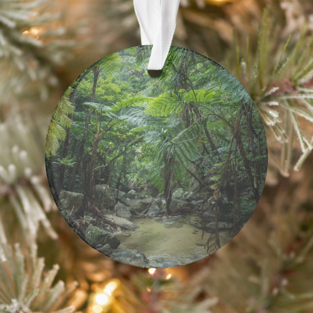 Forests | Iriomote Ishigaki National Park Ornament (Tree)