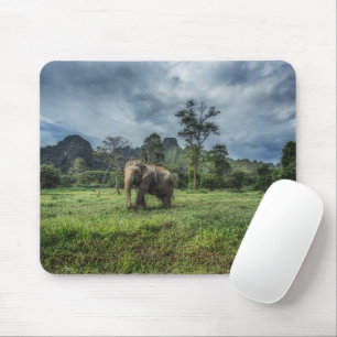 Forests   Kao Sok National Park Mouse Pad