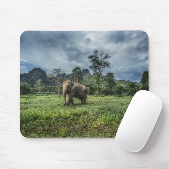 Forests | Kao Sok National Park Mouse Pad (With Mouse)