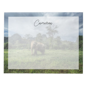 Forests   Kao Sok National Park Notepad