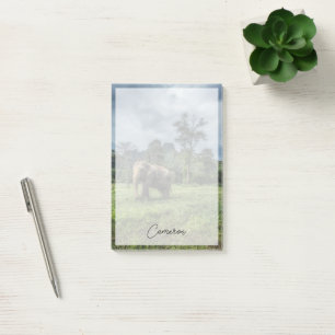 Forests   Kao Sok National Park Post-it Notes