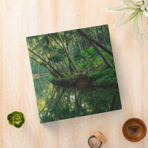 Forests Mangrove Forest Binder