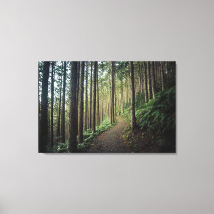 Forests   Mountains of Wakayama Japan Canvas Print