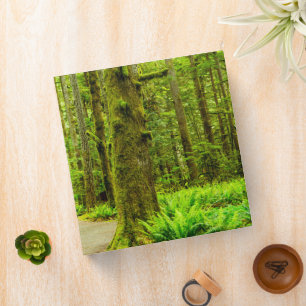 Forests   Olympic National Park Binder