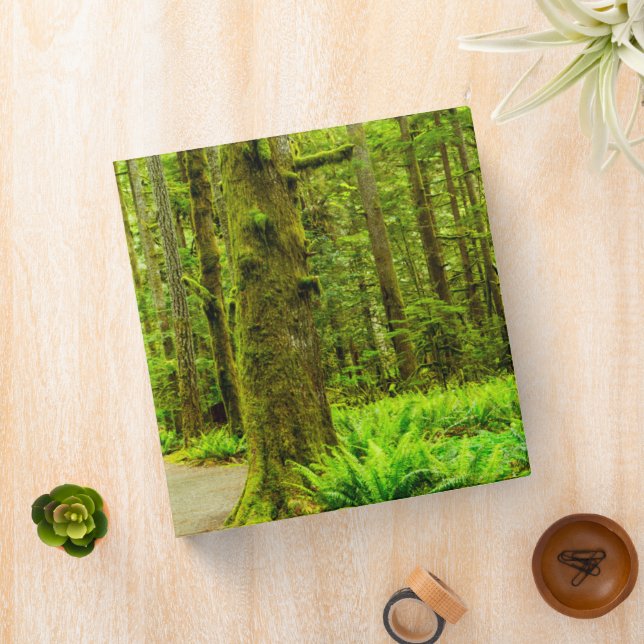 Forests | Olympic National Park Binder (In Situ)