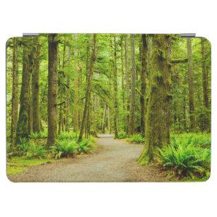 Forests   Olympic National Park iPad Air Cover