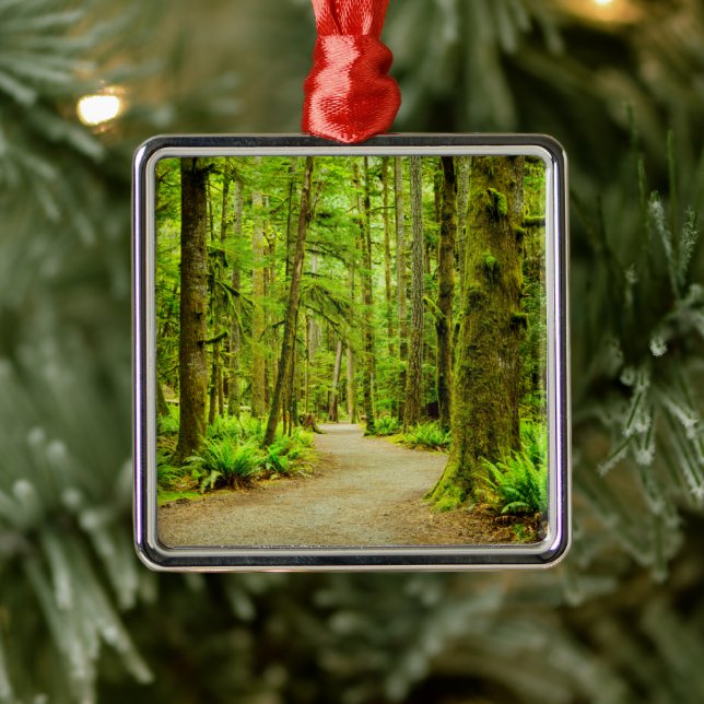 Forests | Olympic National Park Metal Ornament (Tree)