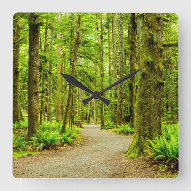 Forests | Olympic National Park Square Wall Clock (Front)