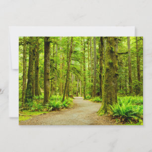 Forests   Olympic National Park Thank You Card