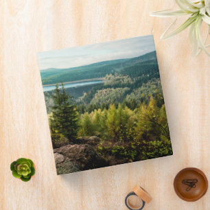 Forests   Ore Mountains Germany Binder