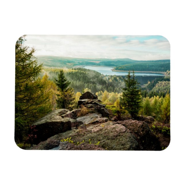 Forests | Ore Mountains Germany Magnet (Horizontal)