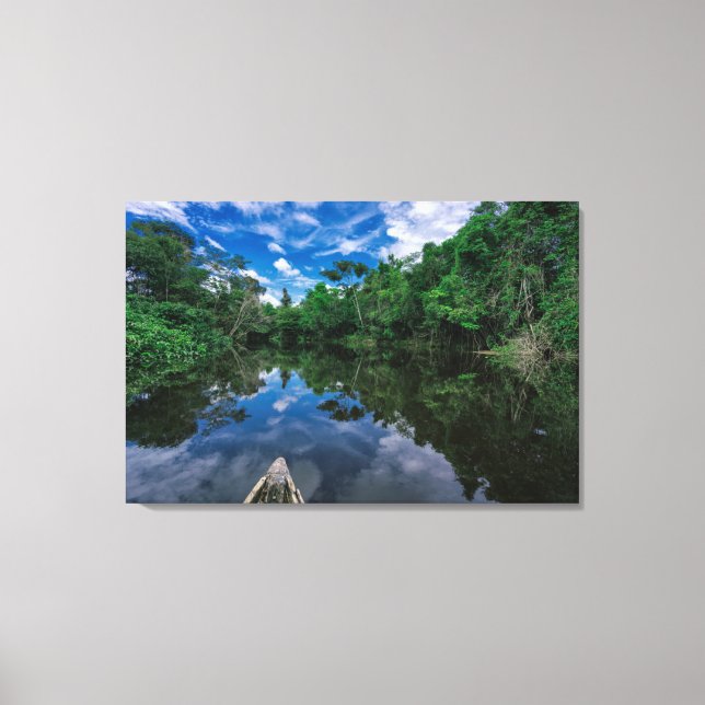 Forests | Peruvian Jungle Forest Canvas Print (Front)