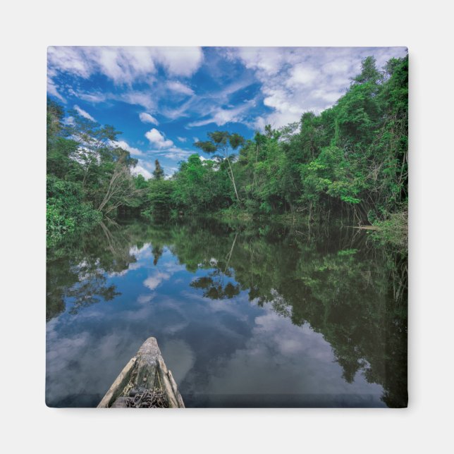 Forests | Peruvian Jungle Forest Magnet (Front)