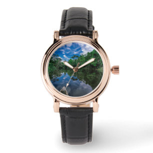 Forests Peruvian Jungle Forest Watch