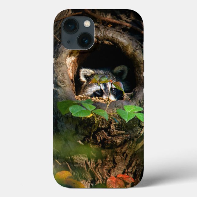 Forests | Raccoon Peeking Case-Mate iPhone Case (Back)