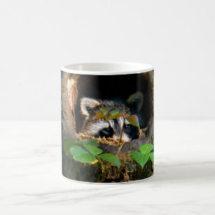 Forests Raccoon Peeking Coffee Mug