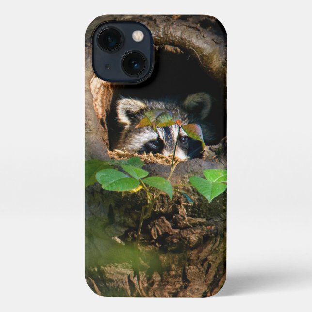 Forests | Raccoon Peeking iPhone Case (Back)