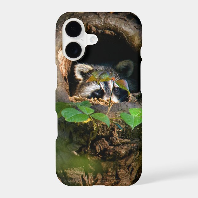 Forests | Raccoon Peeking iPhone Case (Back)