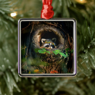 Forests Raccoon Peeking Metal Ornament