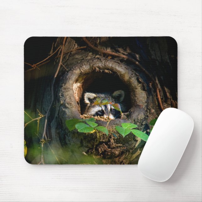 Forests | Raccoon Peeking Mouse Pad (With Mouse)