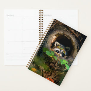 Forests Raccoon Peeking Planner