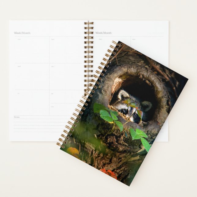 Forests | Raccoon Peeking Planner (Display)