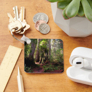 Forests Redwood Forest California Keychain