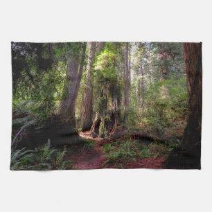 Forests Redwood Forest California Kitchen Towel