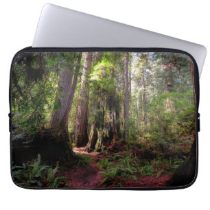 Forests Redwood Forest California Laptop Sleeve