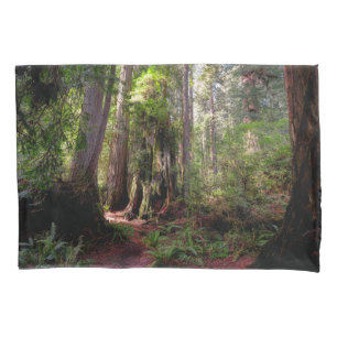 Forests   Redwood Forest California Pillowcase