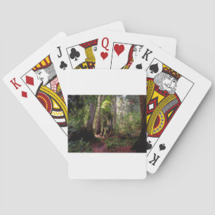 Forests   Redwood Forest California Playing Cards