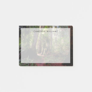 Forests Redwood Forest California Post-it Notes