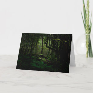Forests Routeburn Track Fiordland National Park Card