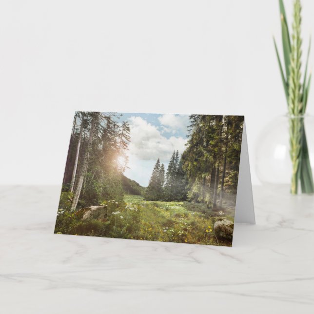 Forests | Sun Peeking Thru Card (Front)
