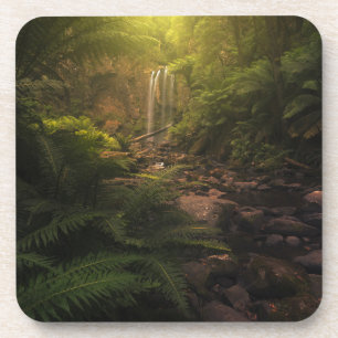Forests Sunlight Highlights Waterfall Coaster