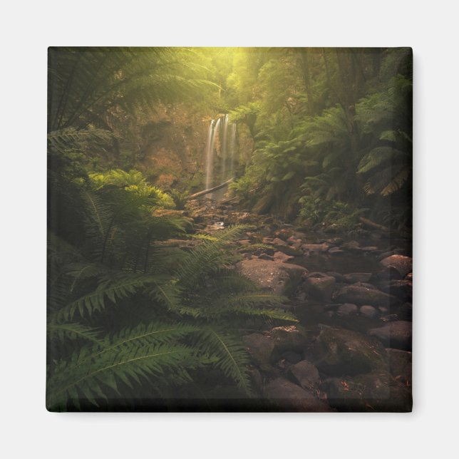 Forests | Sunlight Highlights Waterfall Magnet (Front)