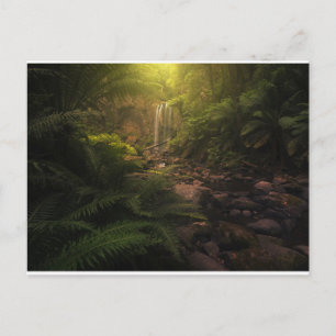 Forests   Sunlight Highlights Waterfall Postcard