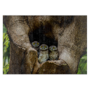 Forests   Three Owls Looking Cutting Board