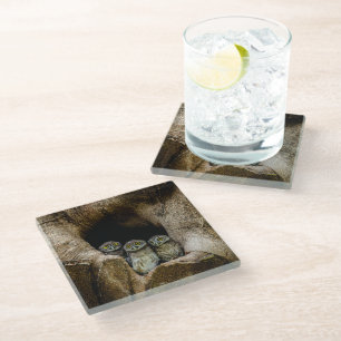 Forests   Three Owls Looking Glass Coaster