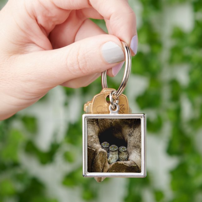 Forests | Three Owls Looking Keychain (Hand)