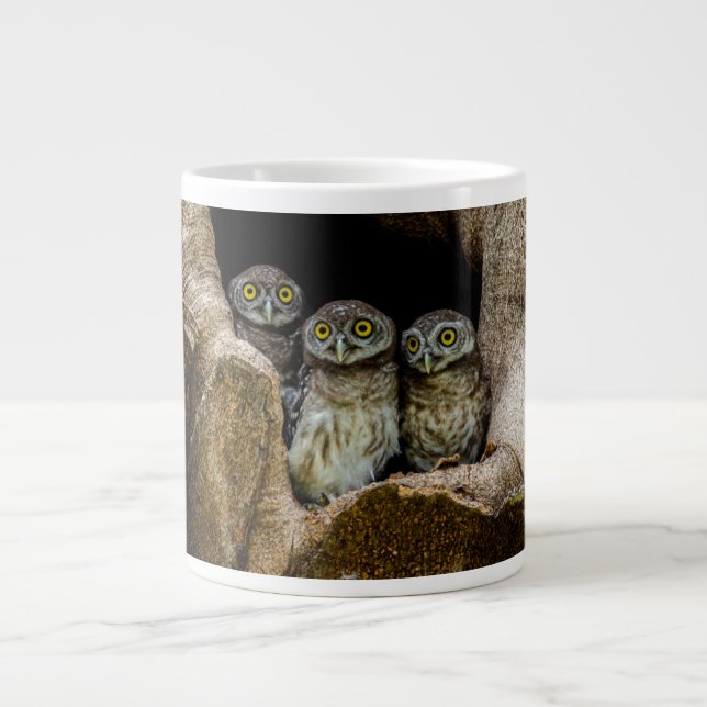 Forests | Three Owls Looking Large Coffee Mug (Front)